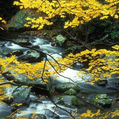 傲世争霸手游(暂未上线)v1.0 官方安卓版